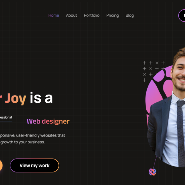 Portfolio For WordPress Web Designer