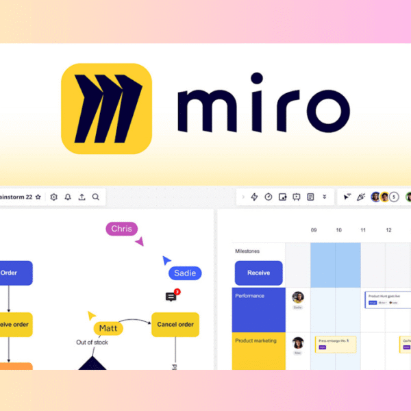 Miro Pro